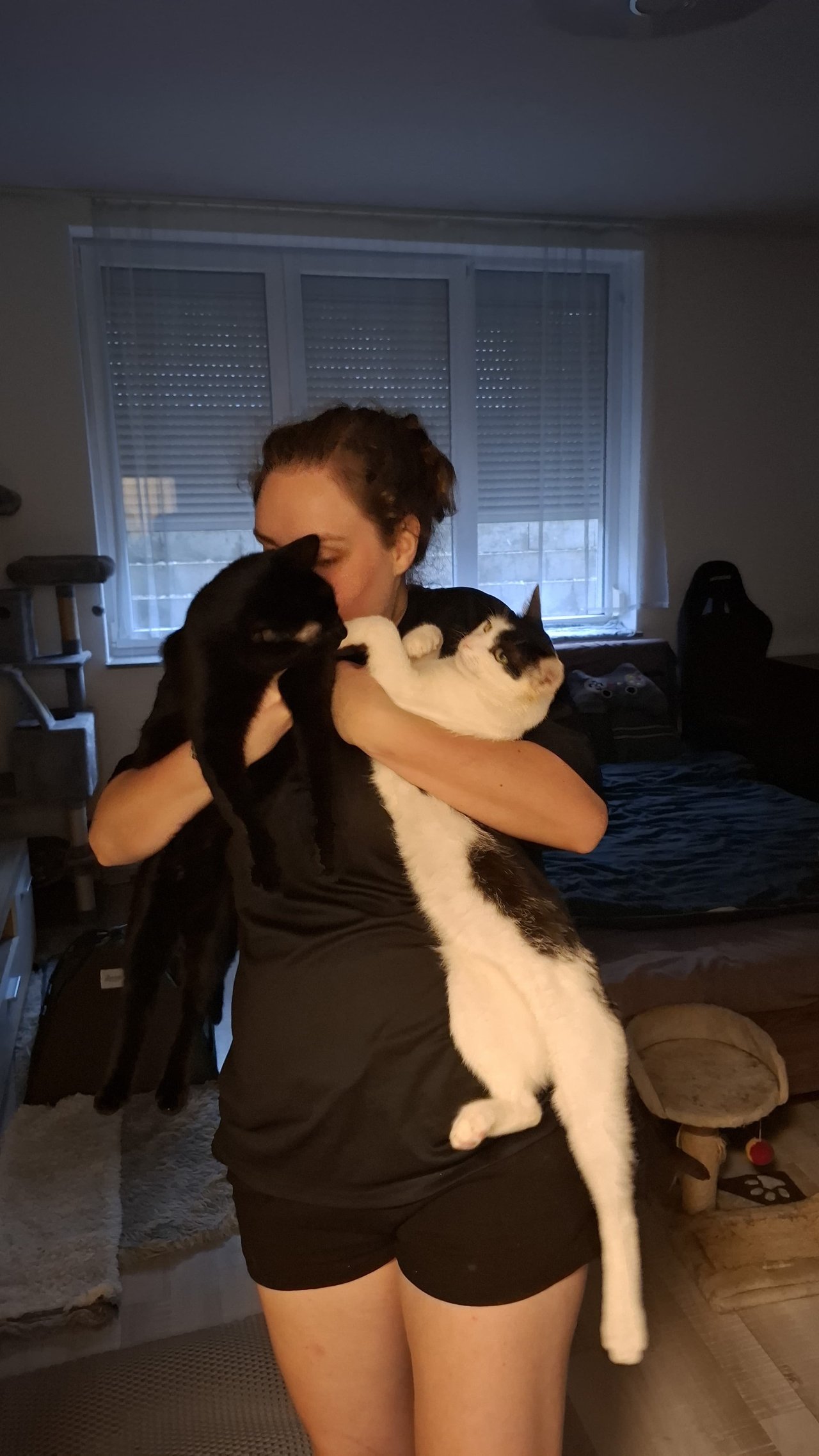 https://files.peakd.com/file/peakd-hive/gabrielatravels/23uQhpMxRrtHgFVMUGxXBz7xa1JUxaCRAFY8LLhePZC6uaFyTBEsA3tpKdAcnCnQL4fAy.jpg