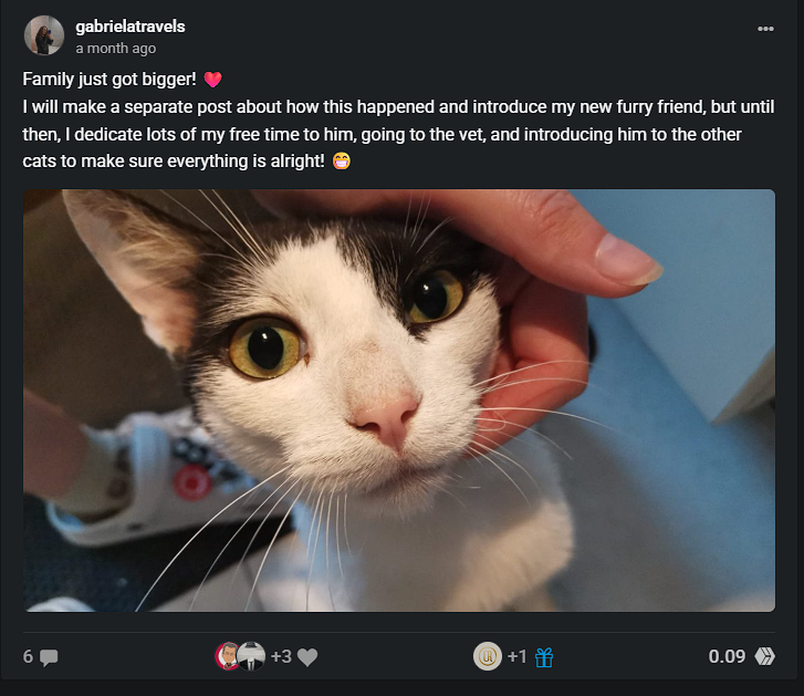 https://files.peakd.com/file/peakd-hive/gabrielatravels/23vhq36HndUAsi4z6MWXQH8RA7P3exzenCjpDq9Nhyyj1nDV3kgkJX1RyFSFNF8uMUV7t.png