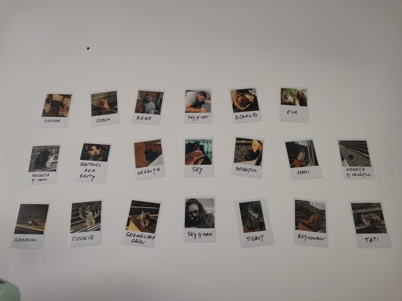 https://files.peakd.com/file/peakd-hive/gabrielatravels/EoAc8rCTtpStwizXuqgtnsuWUBqM95XEA1aGkBHKMSZHBMQbCN8vRkPi15M9K1nsVFf.jpg