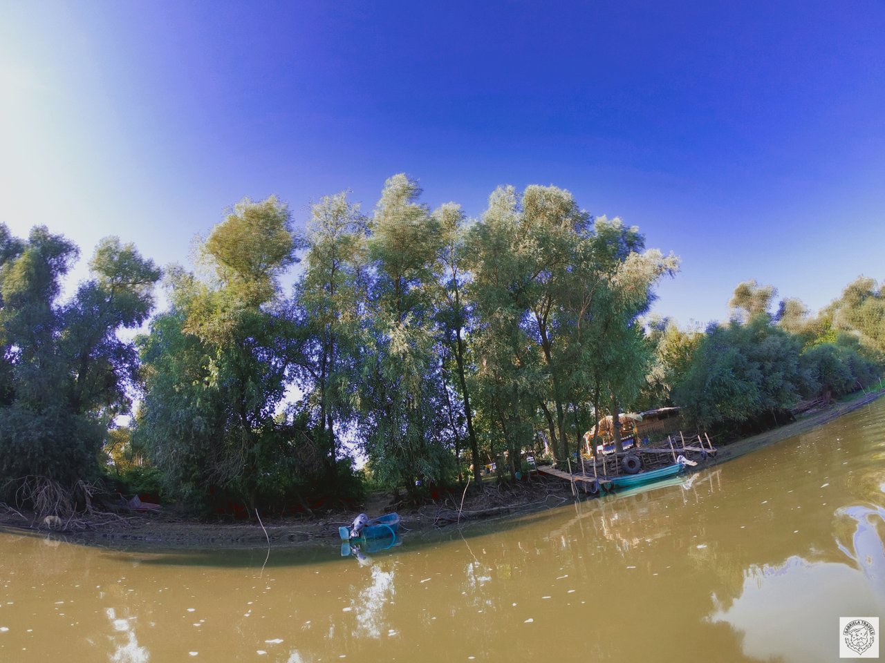 img1604394704148.jpg
