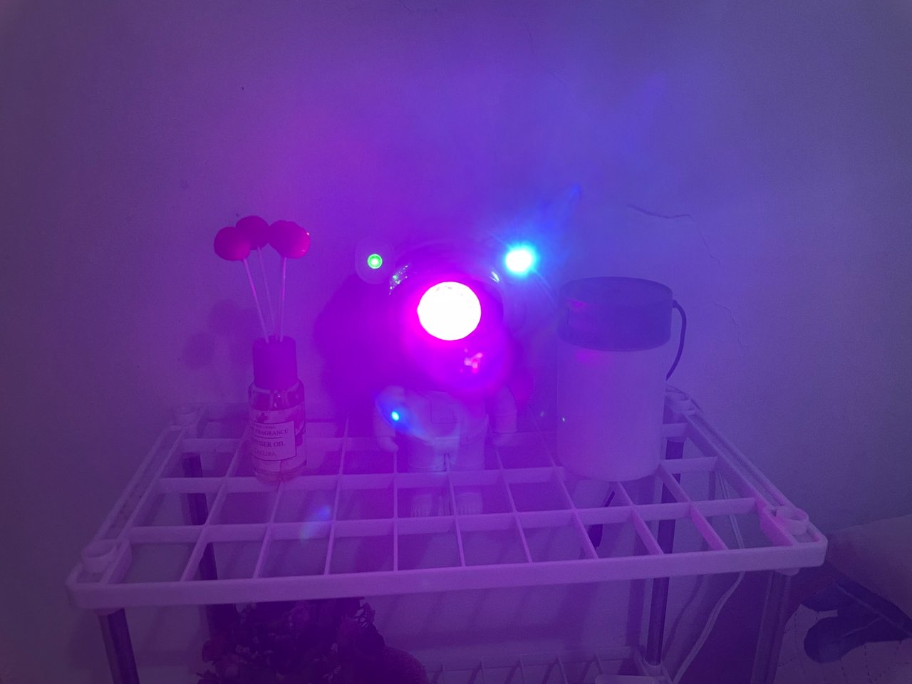https://files.peakd.com/file/peakd-hive/gabrielazamora10/EonicxZLaJoSkmHBt5bkLRUKVvA8DzfhwyZsETjyivB2z7jVKigGLdPsDB2H73tH3Co.jpeg