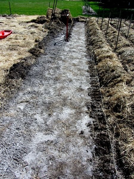 Back in the Big Garden - April 29, 2025 @goldenoakfarm