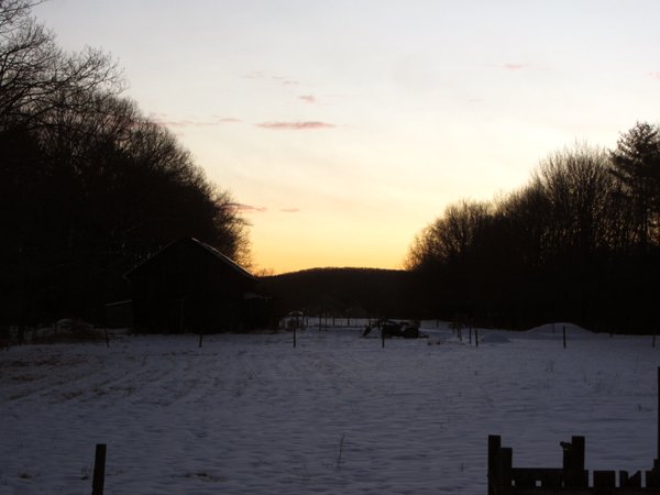 https://files.peakd.com/file/peakd-hive/goldenoakfarm/EnoKcTQJrDbs5hgpSFNGSkT4FUzFYiZ2m4k5FqnBiyxP1xapZ7t21kXEmaNUreoAHbT.jpg