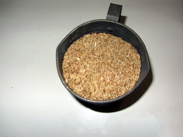 https://files.peakd.com/file/peakd-hive/goldenoakfarm/Ep1Zqvf7xpyTobWcSyL6XvRoASqdC9hQU5menZsZiKgATpnHKMhPvnnmfhicTCkaSvf.jpg
