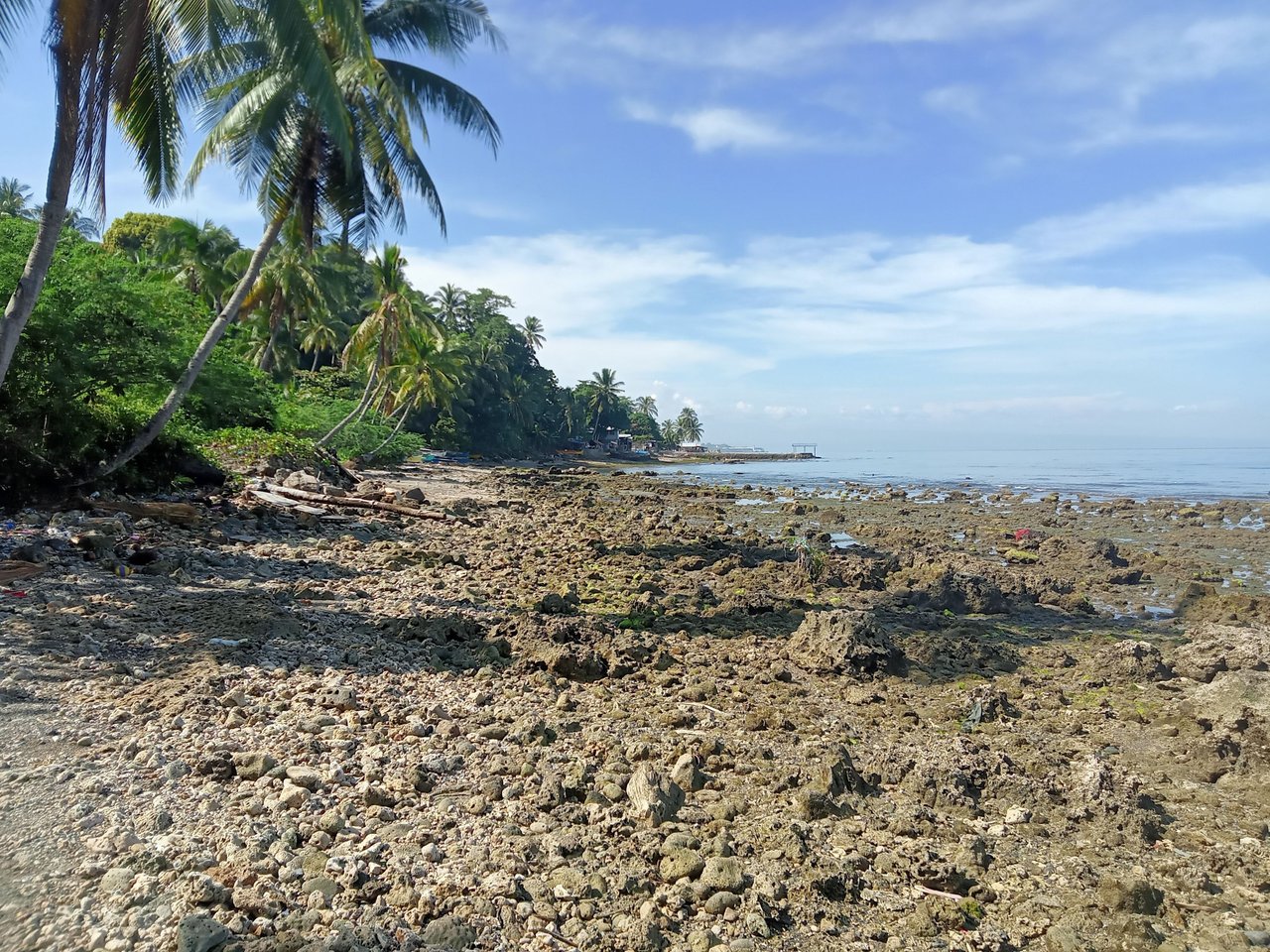 https://files.peakd.com/file/peakd-hive/gpinoy/Eq9Upg3HG7GRuTXnTtBJX9NpfArj3ixAkKCCW5GfZFjU3dcykemRwZmkWDyKcMuknSm.jpg