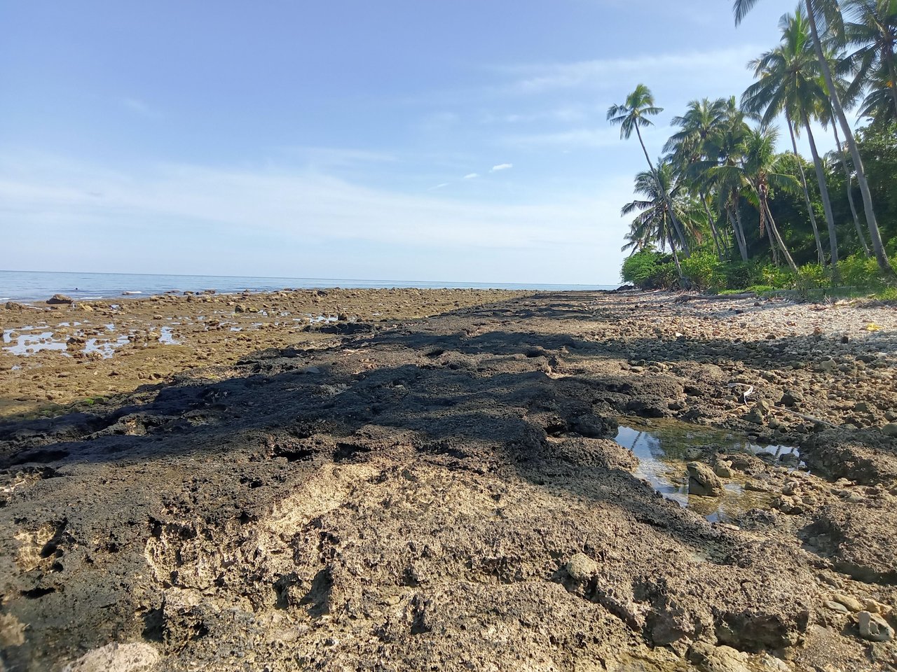 https://files.peakd.com/file/peakd-hive/gpinoy/EqfGKJ641vtceXvjycjFmDnN8M6Nbc6oLDFzuGQ5SF9opD9nbz27v6QPHnouF8WkrAD.jpg