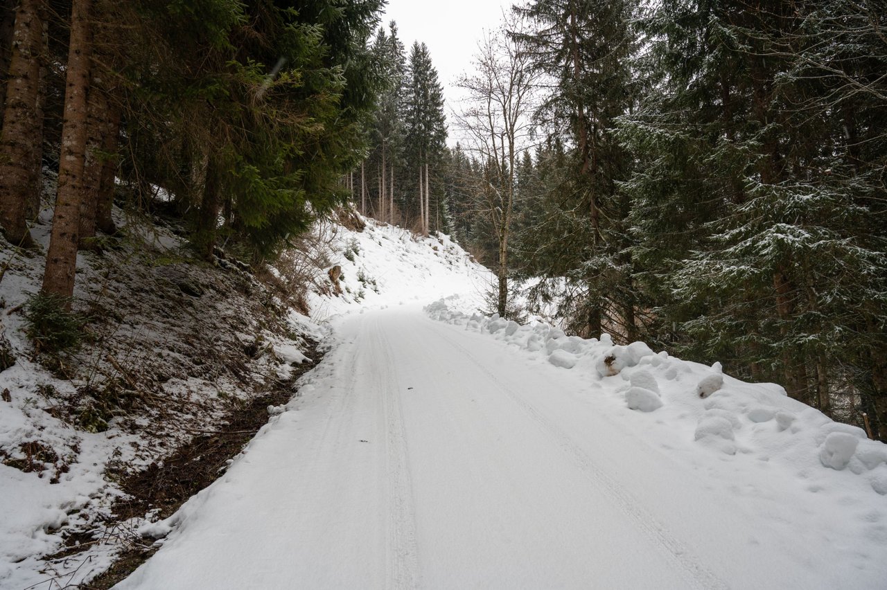 I Attempted to Winter Hike A Mountaintop In Austrian Alps - Bad Idea!