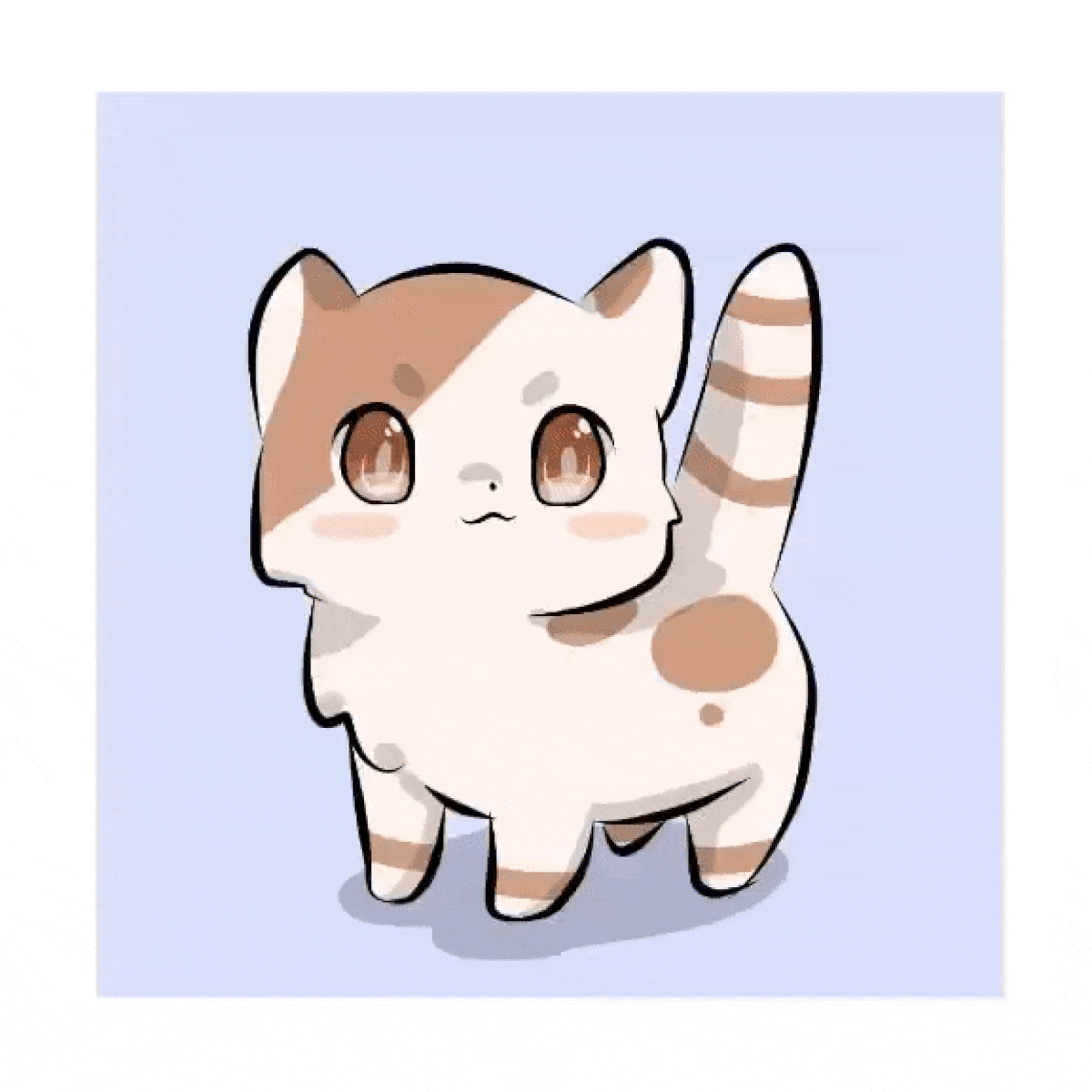 Michi Cat