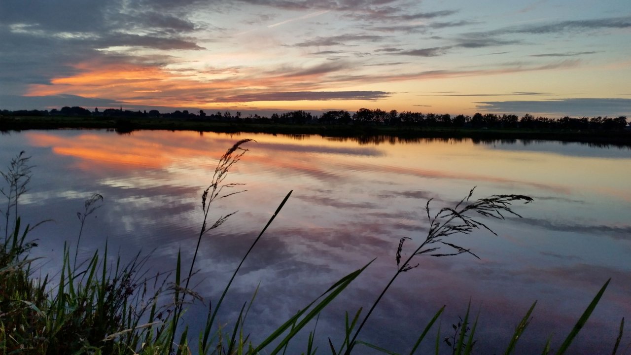 reflection