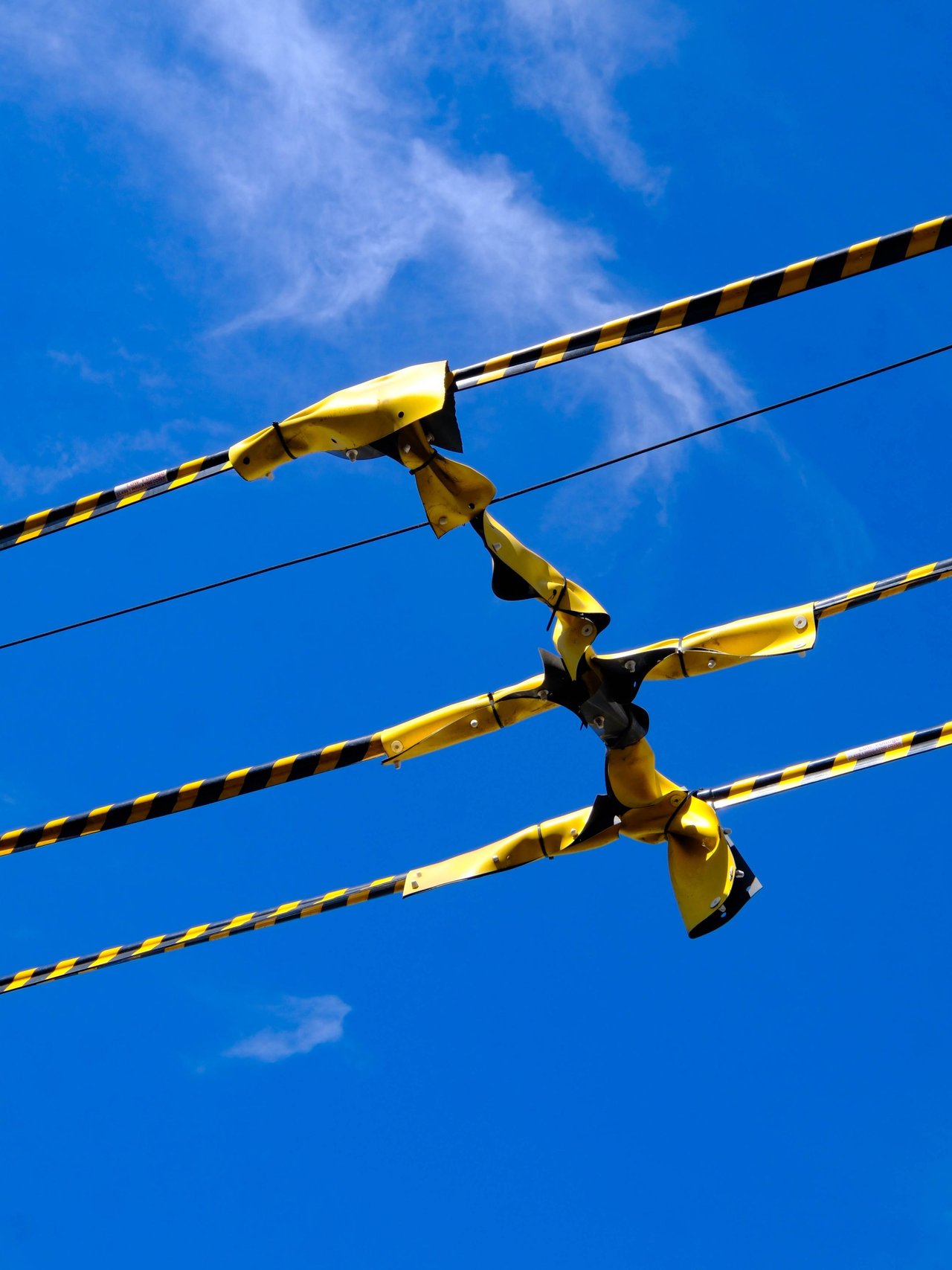Wires.jpg