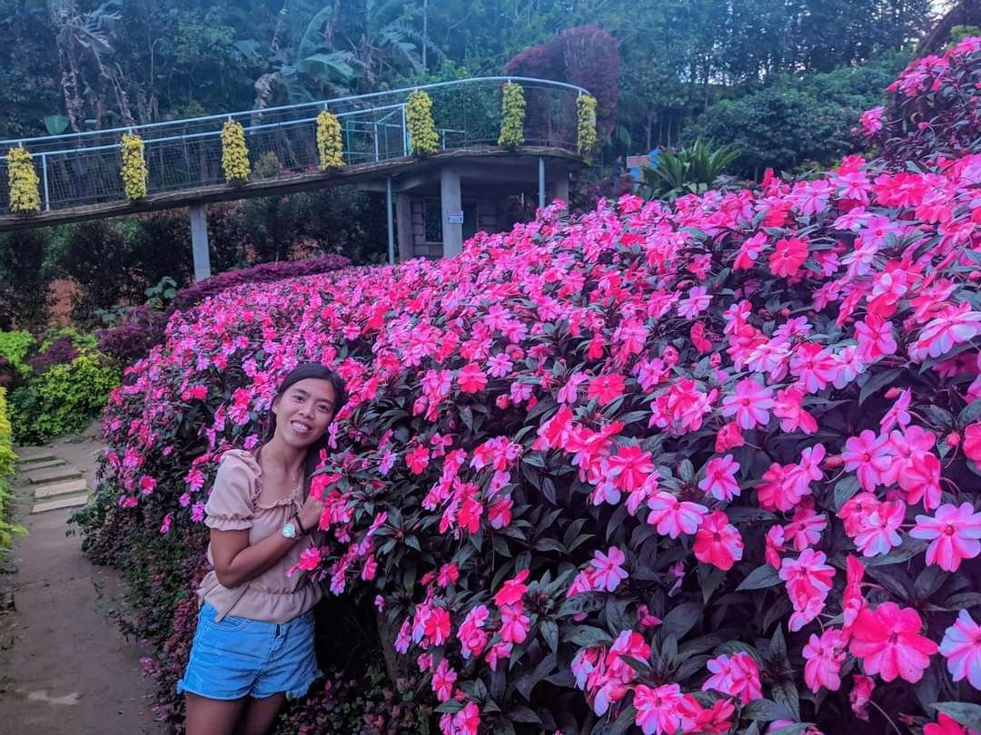 https://files.peakd.com/file/peakd-hive/helianthus-chloe/Eo8SoW9MNQVsLndEY3ySiny8Dm47QuWPThtfcsfcu2nrXP7h765K31Adr3tSEMRTEMA.jpg
