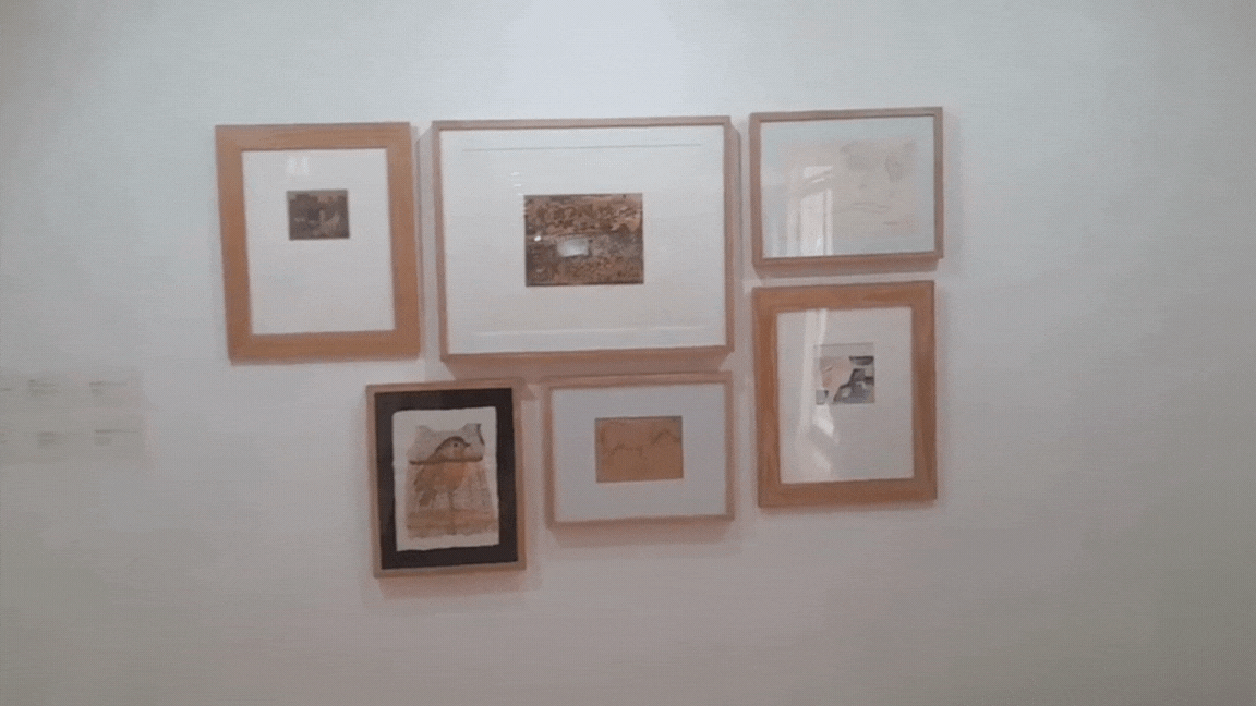 Copia de Copia de daily blog (2).gif