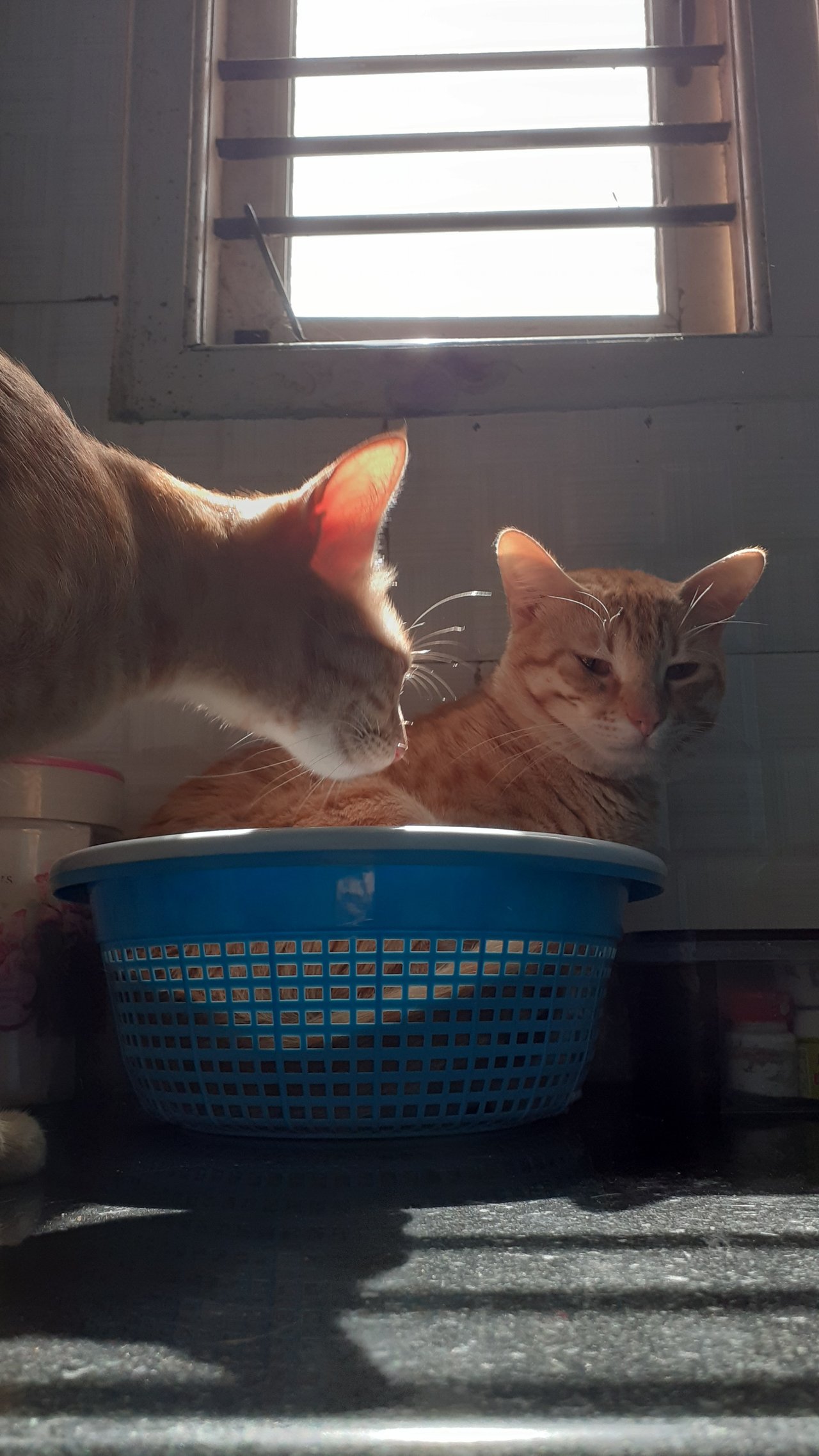 20201202_110804.jpg