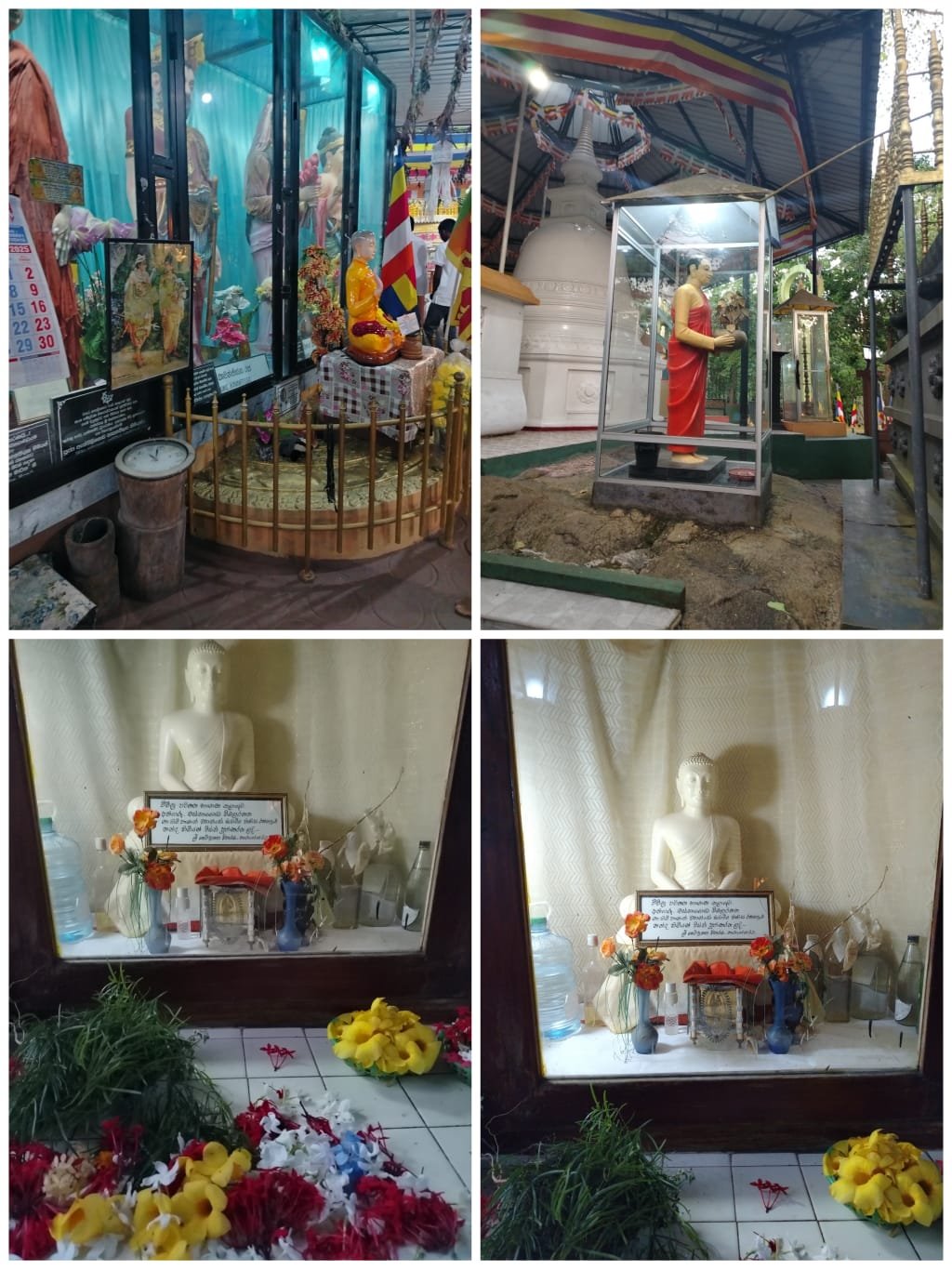 WhatsApp Image 2025-11-14 at 08.40.15.jpeg