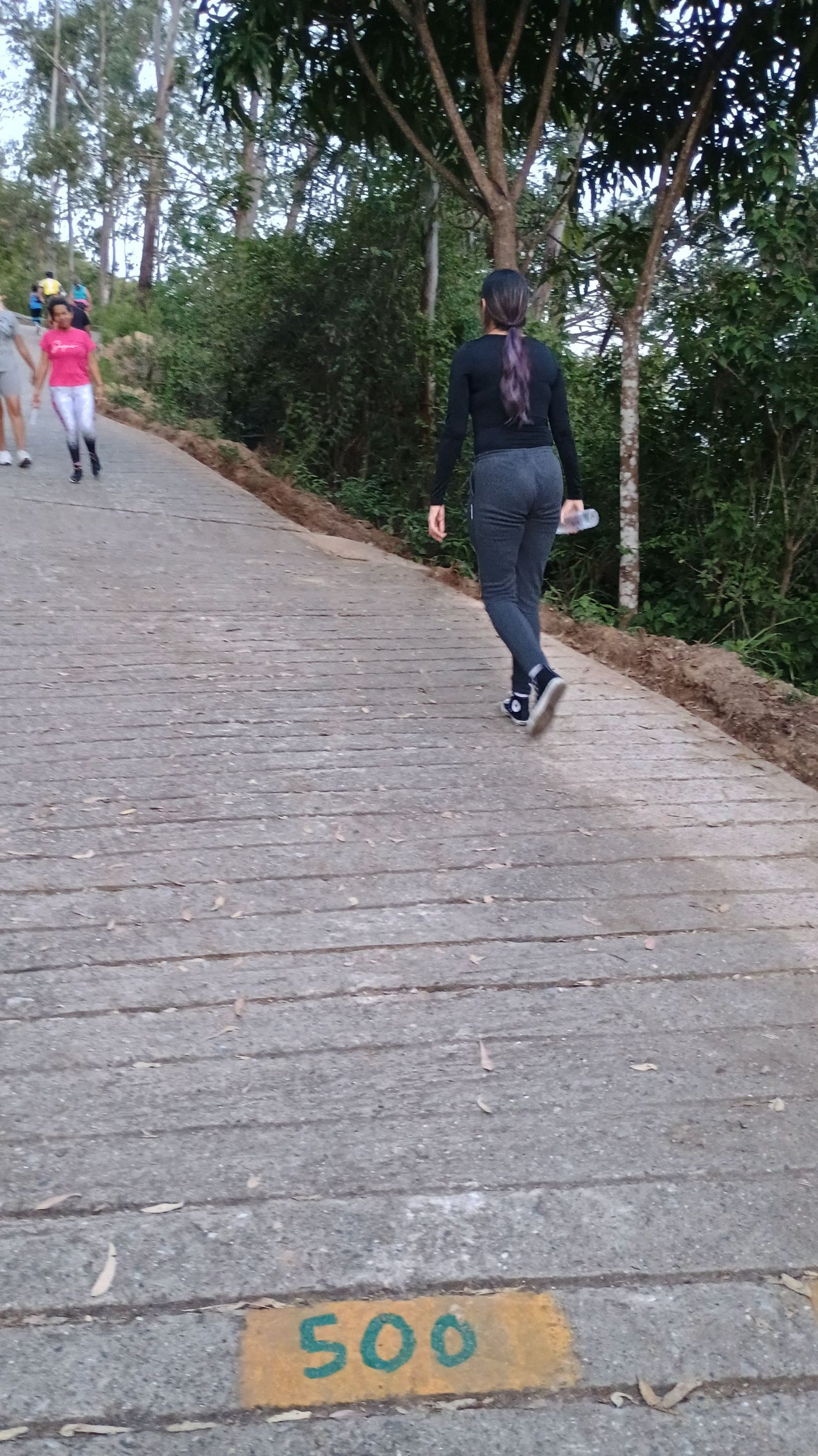 Hiking Evening