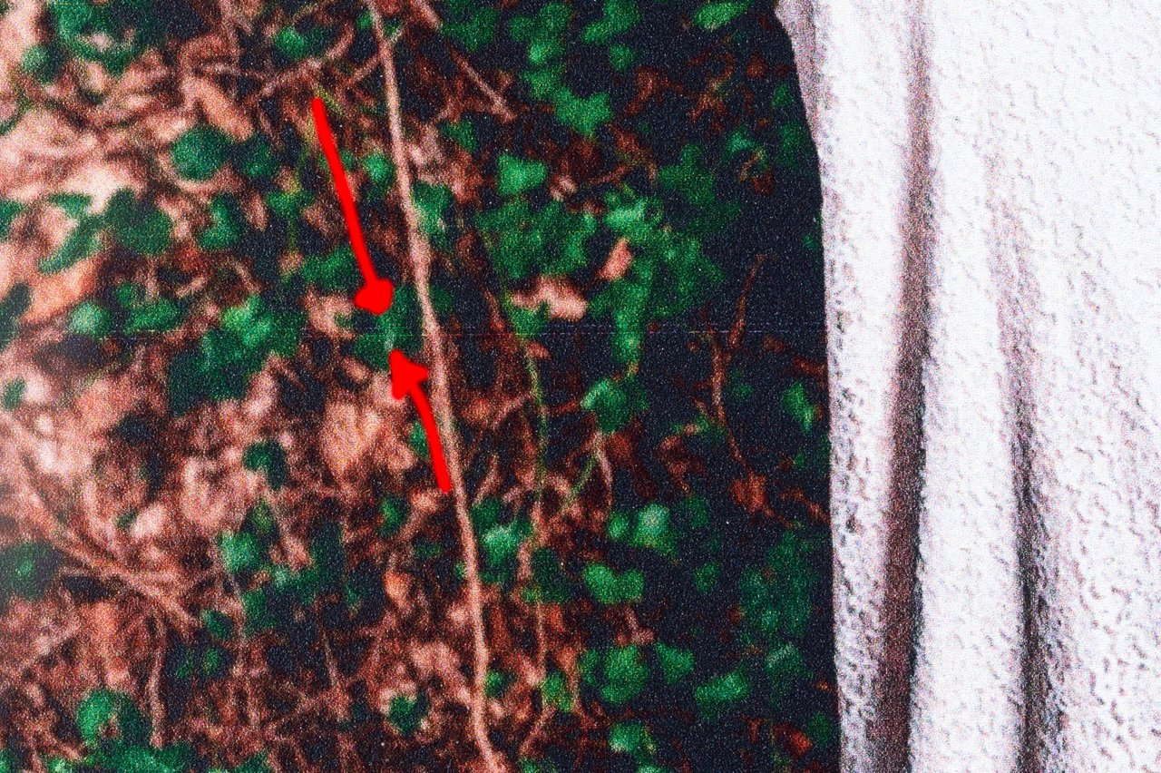 https://files.peakd.com/file/peakd-hive/holoz0r/243WTpBSH2P5846o7rLGUjcLDtguG8jsi2BnxcYH1wi8ywrdx6oTwKt3YegF8RNyBCh5Q.png