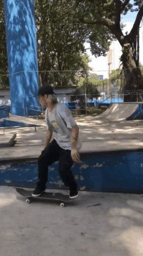 noseslide nollie flip out.gif
