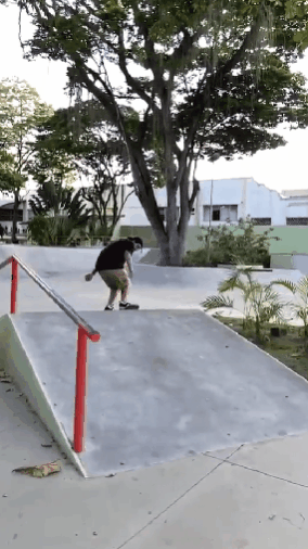 switch bigspin heel.gif