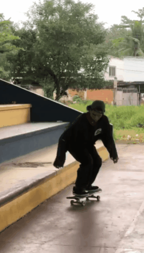 bs crooked to fakie.gif
