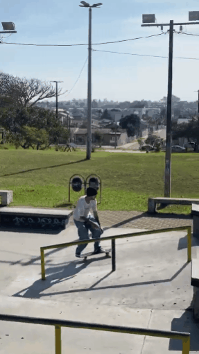willie to bs noseblunt.gif
