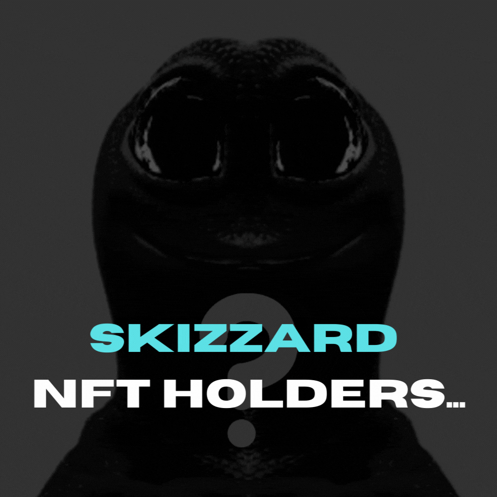 Skizzard NFT Holders (2).gif