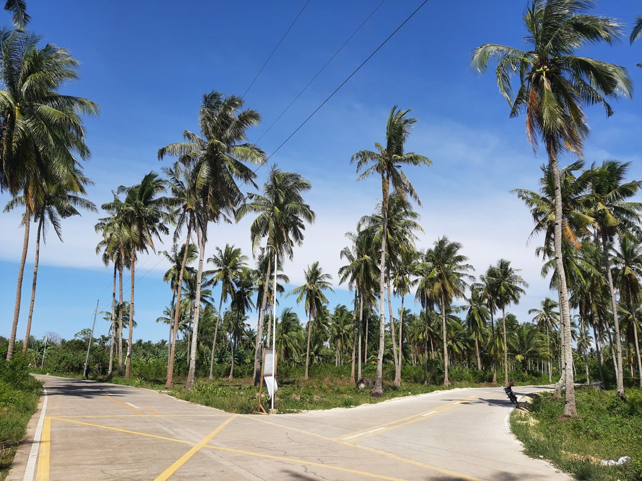 https://files.peakd.com/file/peakd-hive/intoy.bugoy/23wWw3D7SBViq7KQooQCZHsa2yD1UkHnLLxa6y6GdxiKK4DS58qdGa1inahBQ9a5QtGE1.jpg