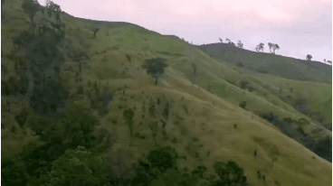 20230405_231341.gif