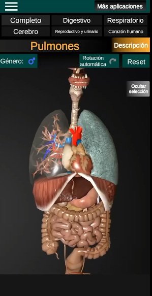 biologia del sistema organico