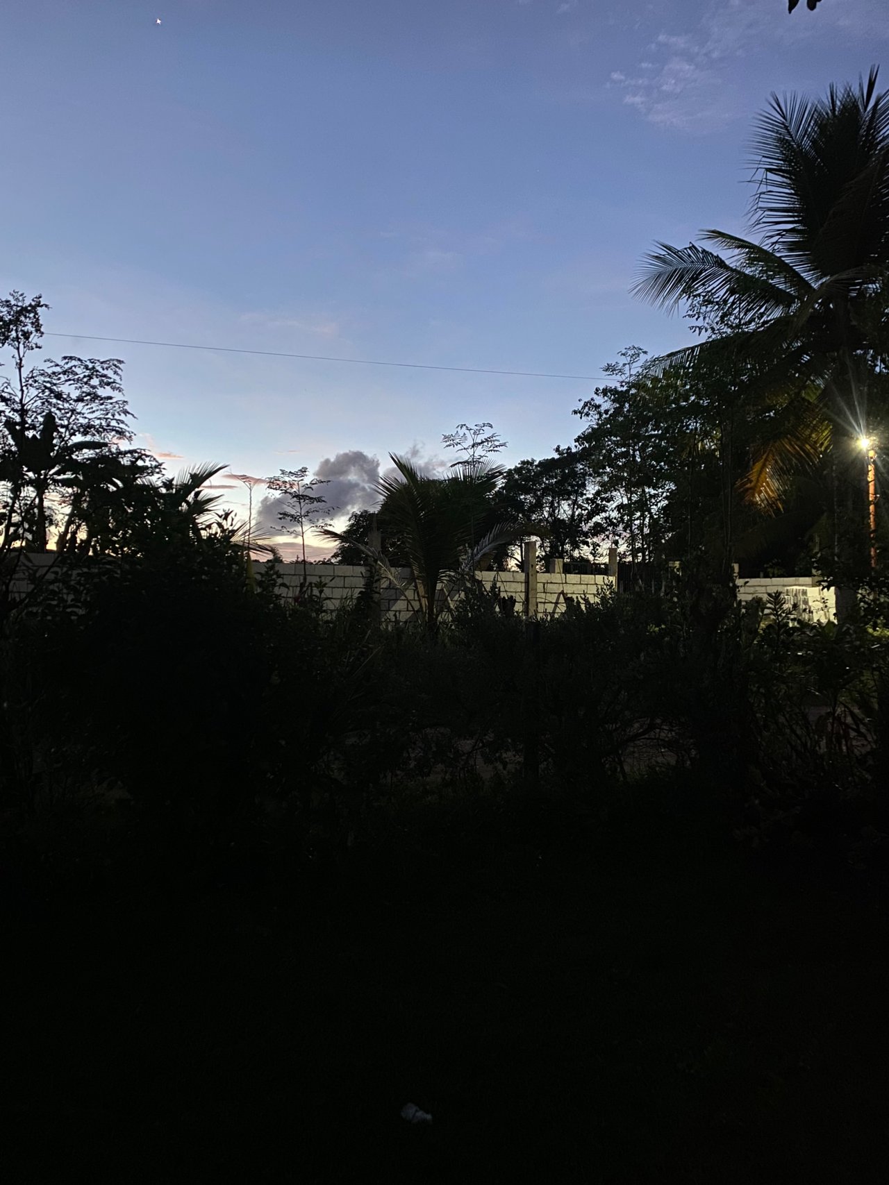 https://files.peakd.com/file/peakd-hive/itsrheaa/242rM5bCKvzobuBoedBKCZxbxiybmv9QxPhKnDnLSDj5YF7ugt75tHfzcaAriNUhJhgng.jpeg