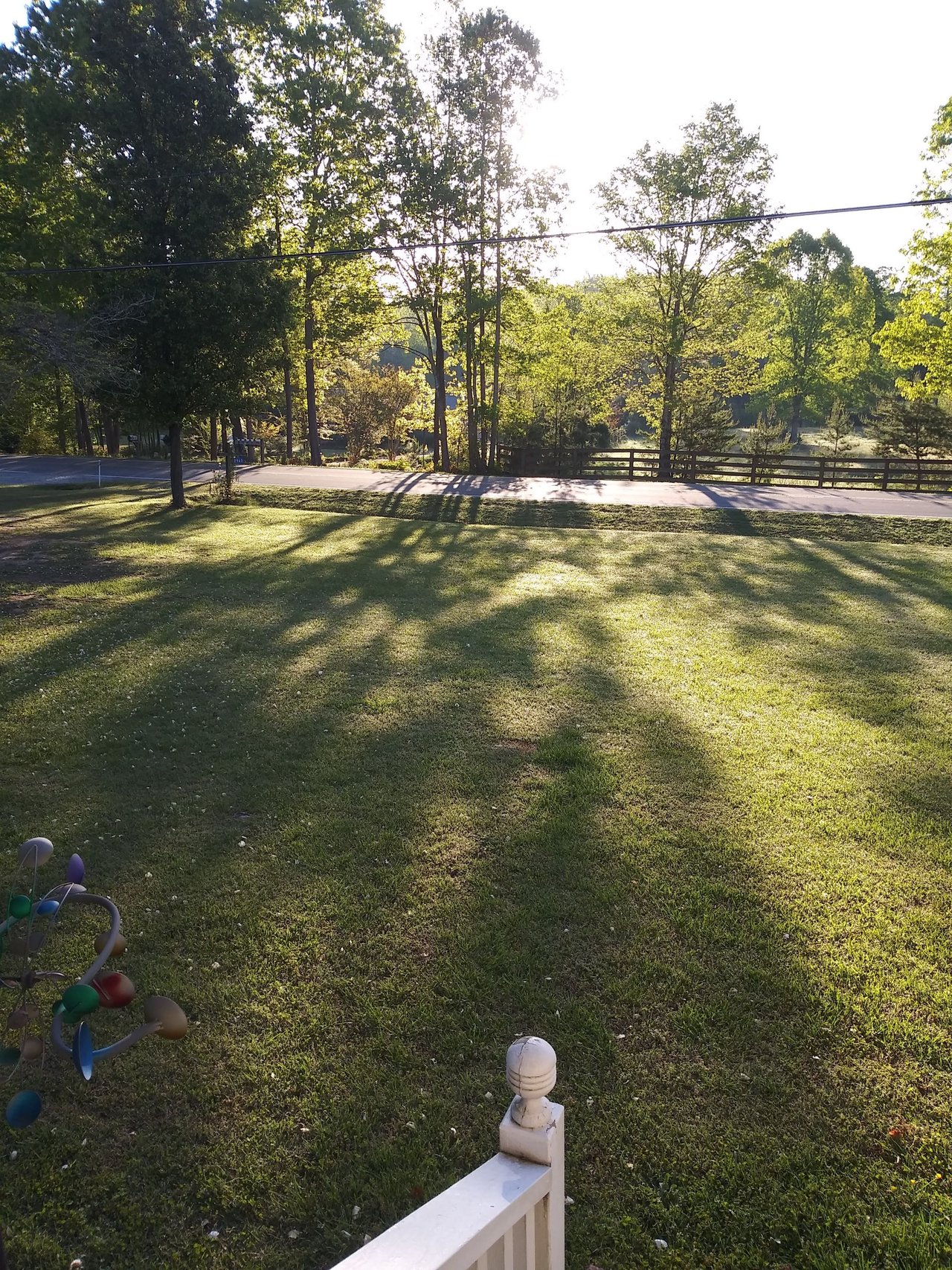Morning Shadows.....