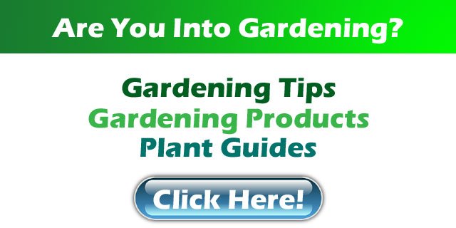 Gardening, garden, plants
