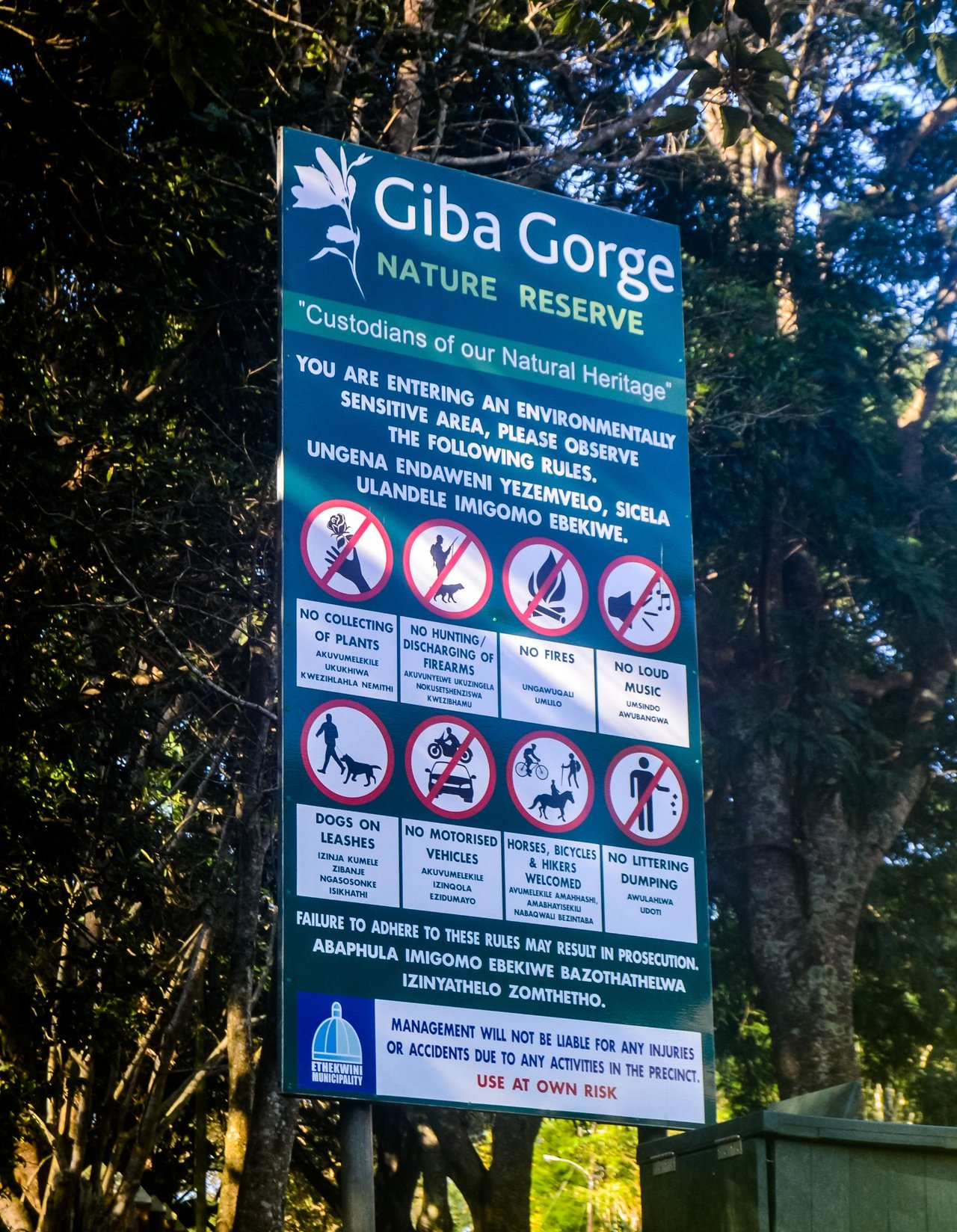 Discovering a New Giba Gorge Hiking Trail