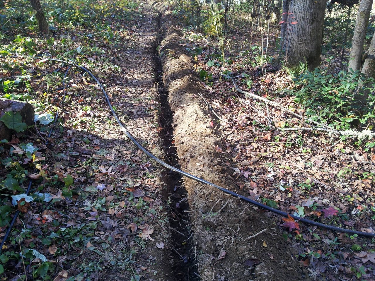 IMG_20201110_110034.jpg