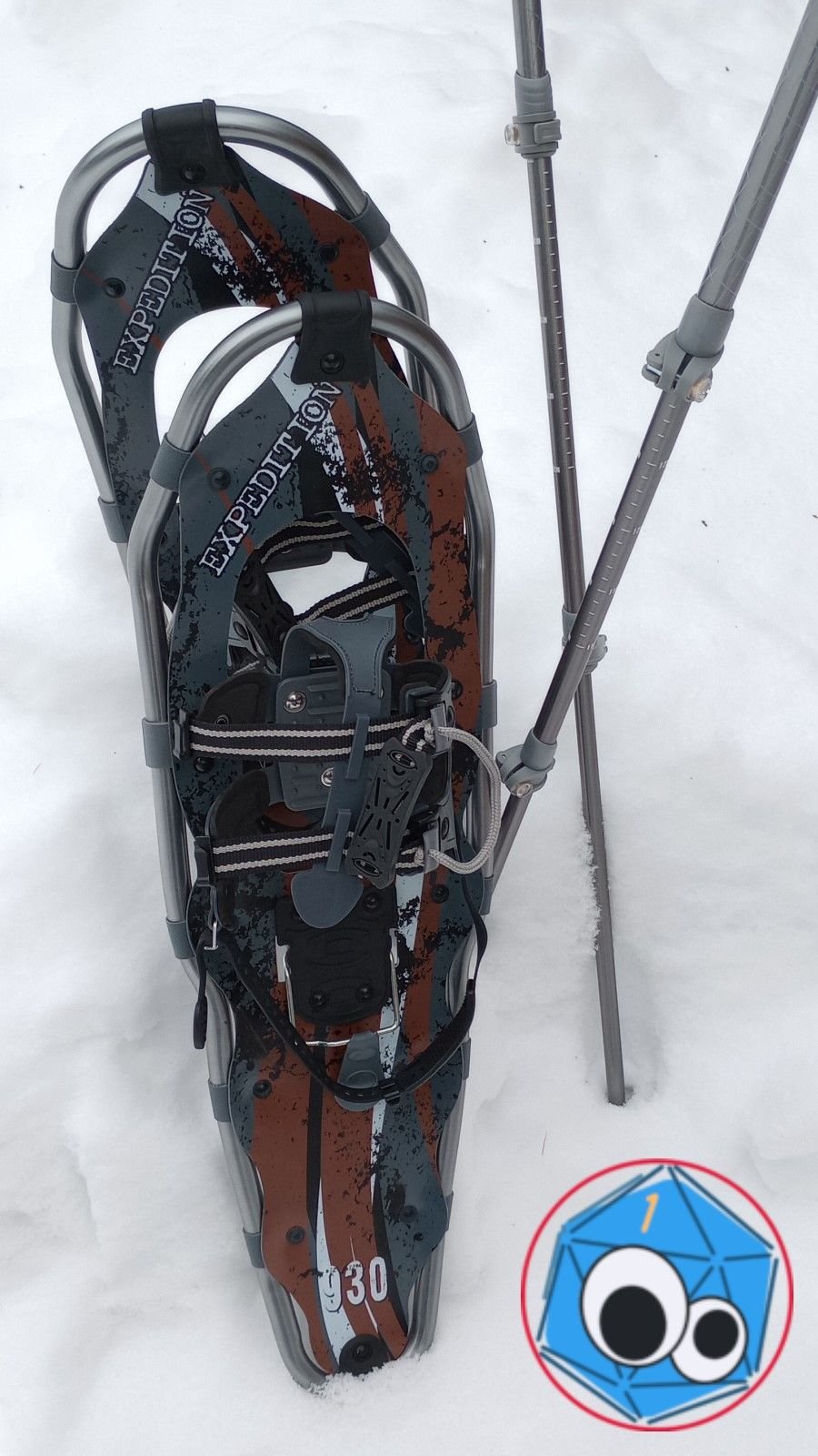 Snowshoe Trial Run