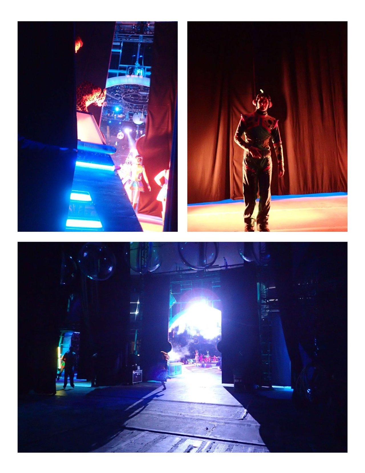 The Last Train: Inside Ringling Brothers Final Tour - A Circus Memoir