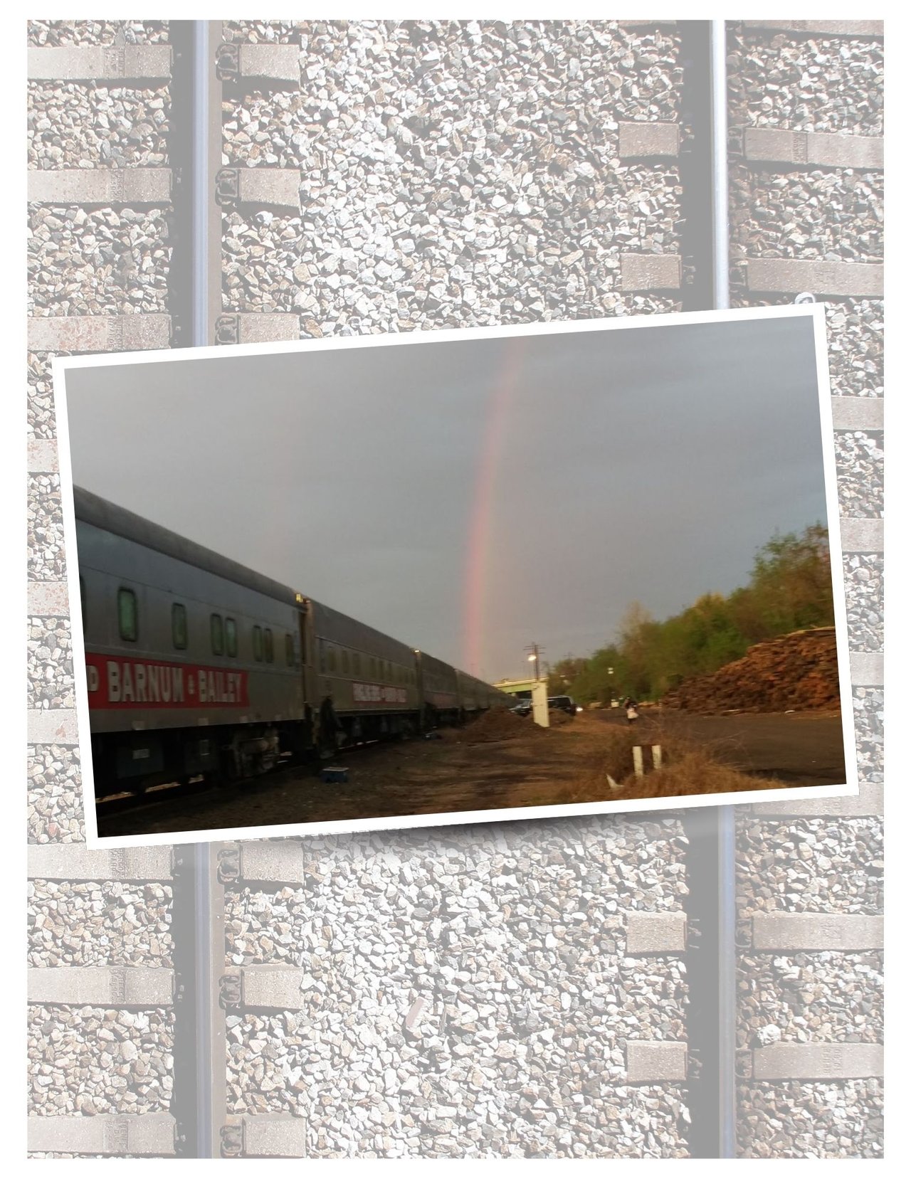 The Last Train: Inside Ringling Brothers Final Tour - A Circus Memoir