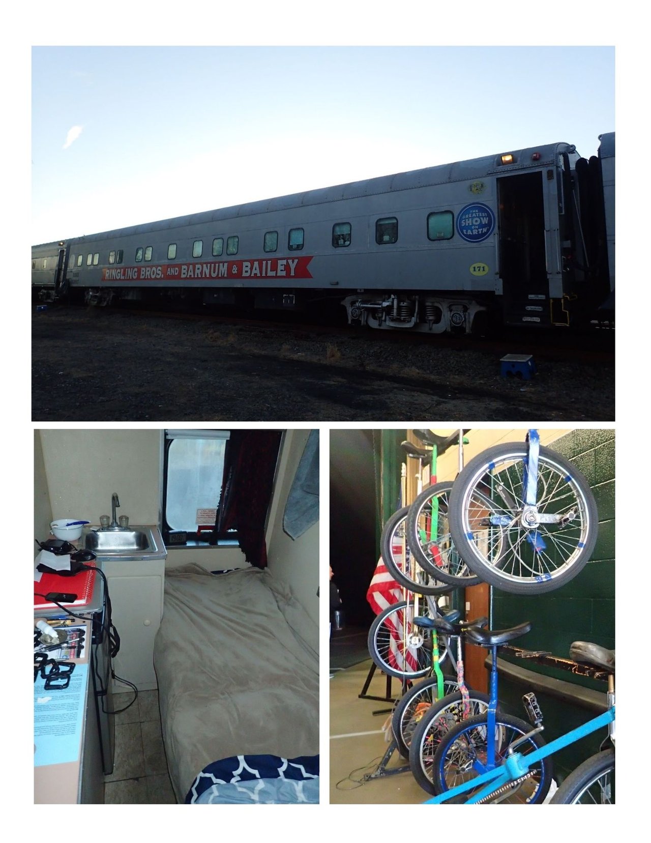 The Last Train: Inside Ringling Brothers Final Tour - A Circus Memoir