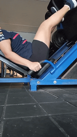 1001463982.gif