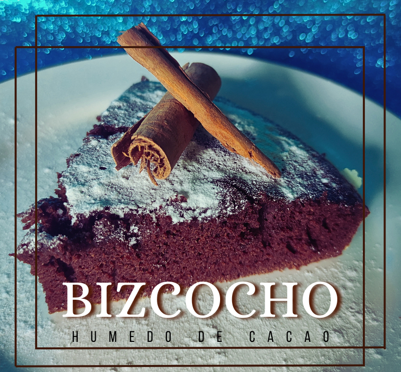 BIZCOCHO HÚMEDO DE CACAO [ESP-ENG]