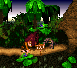 Donkey Kong Country.009.png