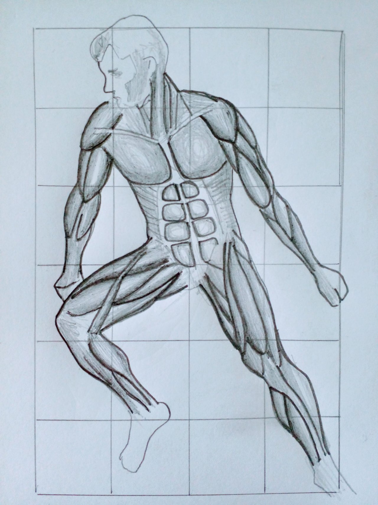 PENCIL Muscle and Anatomy Study  PeakD