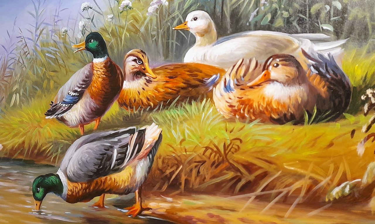 ducks.jpg