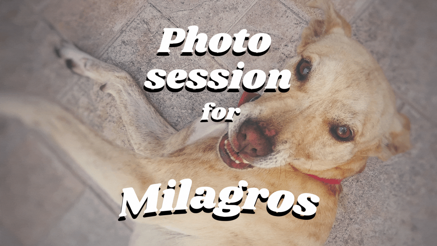 Sesión de fotos para Milagros - Photo session for Milagros.gif