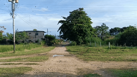 ee138163-ef26-43e2-8e40-489cf814acea.gif