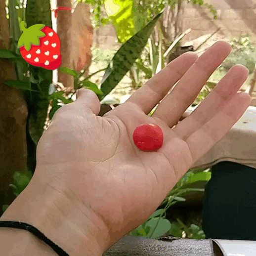 InShot_20250424_200159073.gif