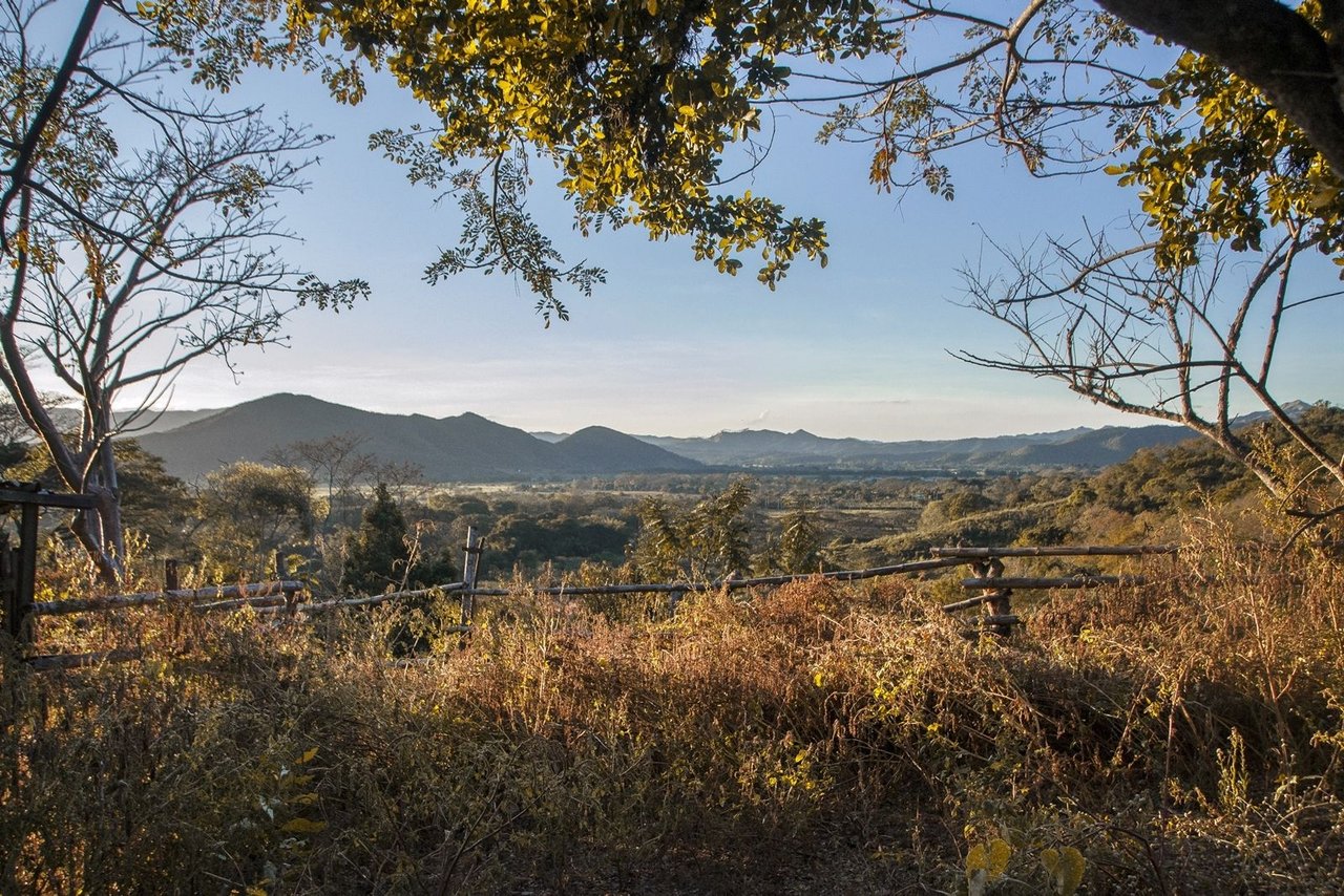 DAWN IN DROUGHT - Photography From Montalbán, Carabobo St., Venezuela || ENG-ESP || (18 Pics)