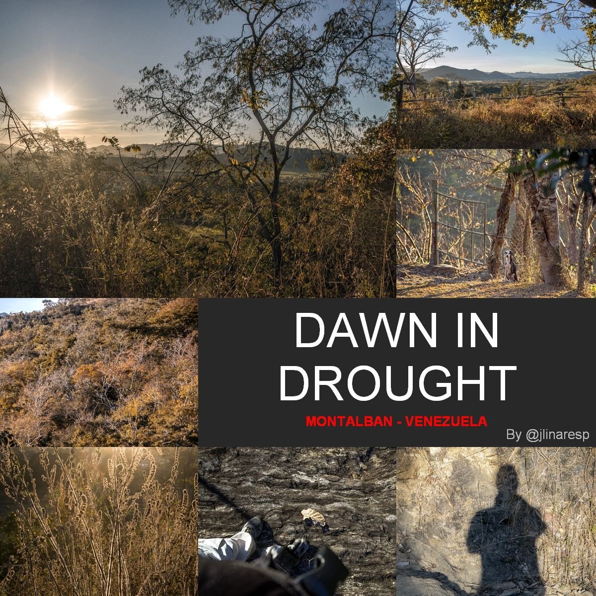 DAWN IN DROUGHT - Photography From Montalbán, Carabobo St., Venezuela || ENG-ESP || (18 Pics)