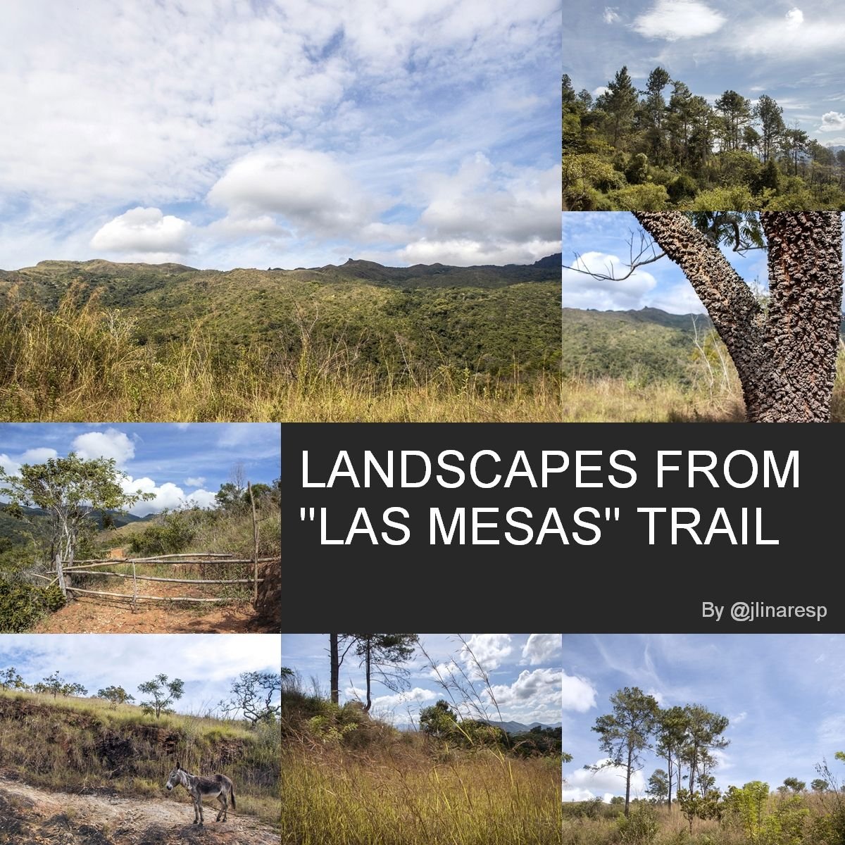 LANDSCAPES FROM "LAS MESAS" TRAIL - Pictures from Montalbán, Carabobo, Venezuela || ENG-ESP || (20 Pics)