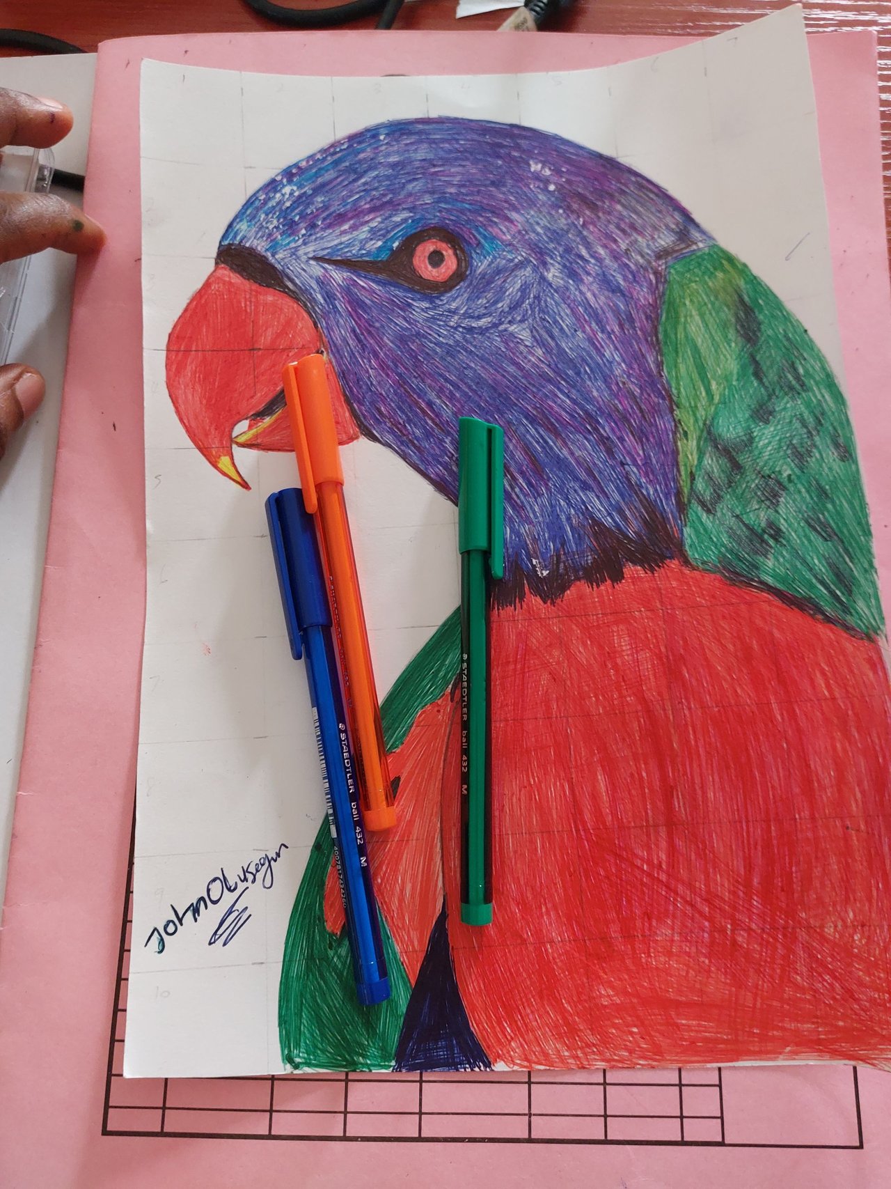 Drawing a parrot with a ballpoint pen., Ekaterina B