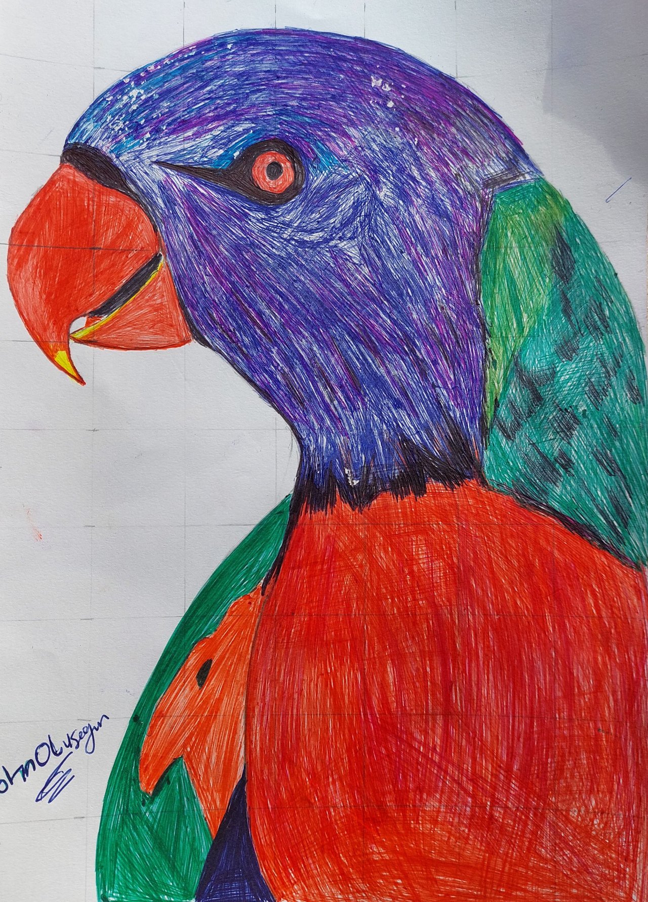 Drawing a parrot with a ballpoint pen., Ekaterina B